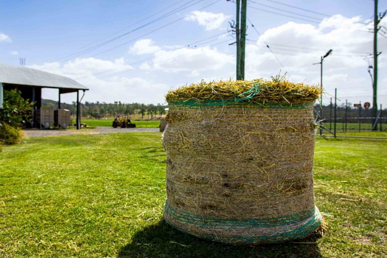 Bedding Straw for Garden Beds and Mulch