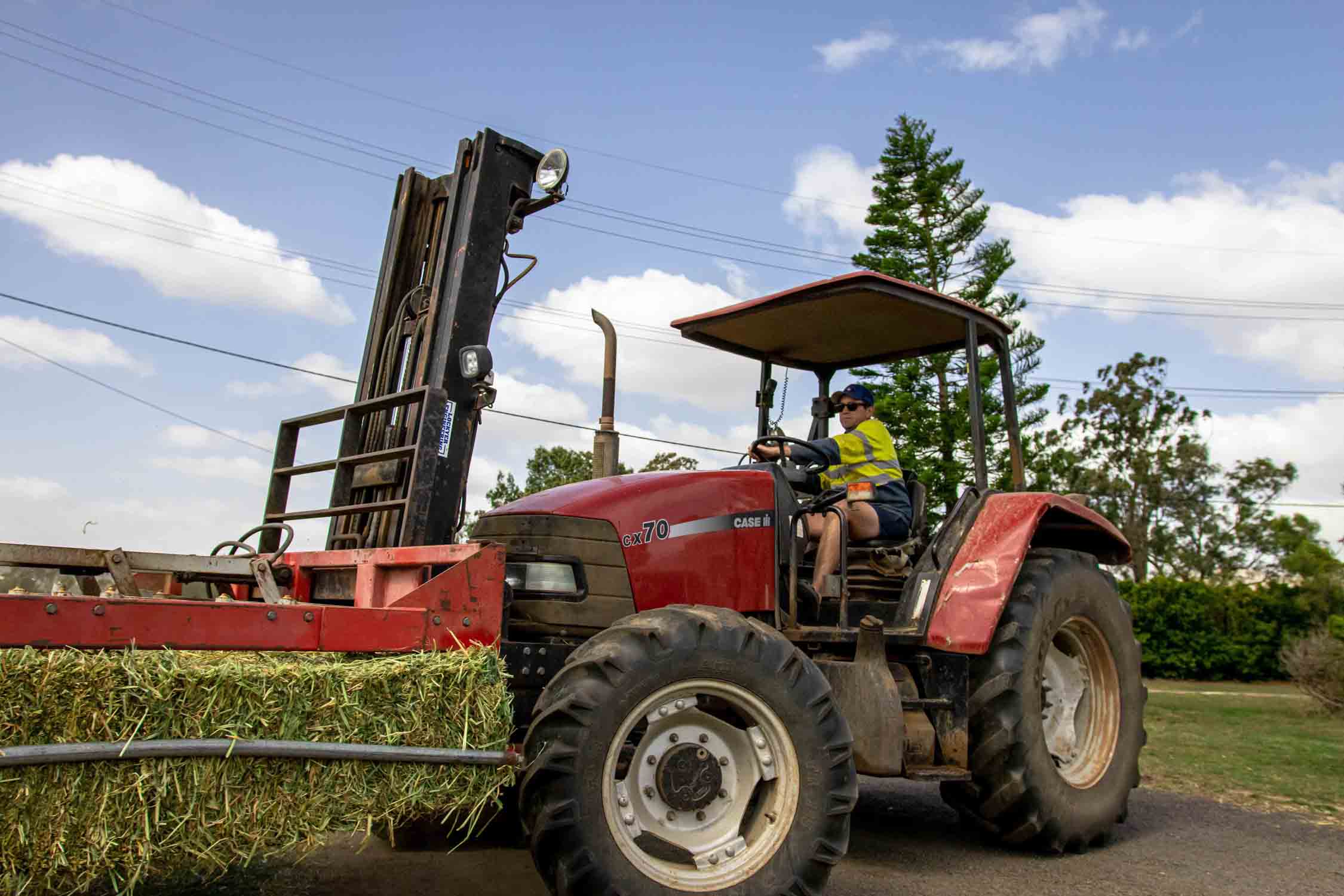 Lilydale Farms Buy Premium Hay Direct From The Farm Queensland