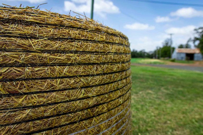 Wheaten Hay Jumbo Round Bales